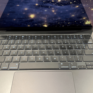 맥북 프로 MacBook Pro 14" / M3 Max(CPU14/GPU 30코어, 36g Ram, 1T SSD)