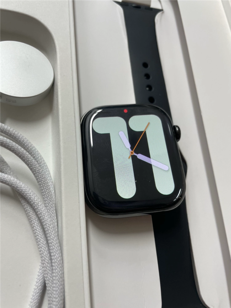 애플워치10티타늄 46mm 슬레이트 SS급 이미지