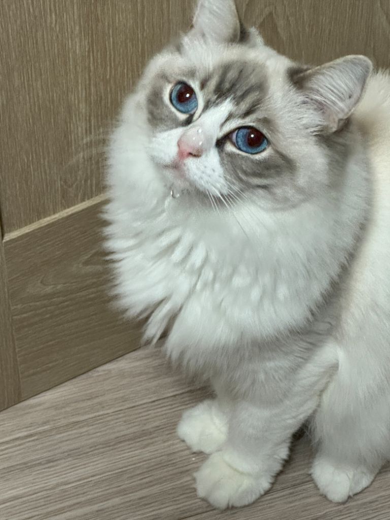 프로필 이미지