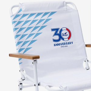 수원삼성 블루윙즈 30주년 한정판 무신사 피크닉 체어 이미지