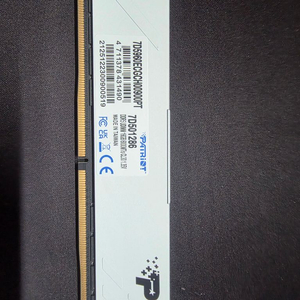 DDR5 16GB 메모리 이미지