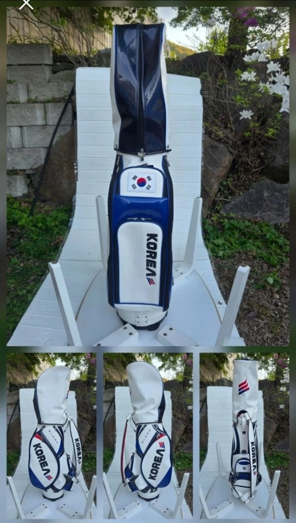 PXG 드라이버, 남성용 R. 핑, 나이키 우드, 비닐채 새 아이언. 골프채 풀세트. 15개 클럽.초, 중급자용 이미지