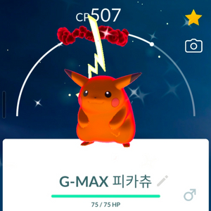 포켓몬 고 거다이맥스 이로치 피카츄 이미지