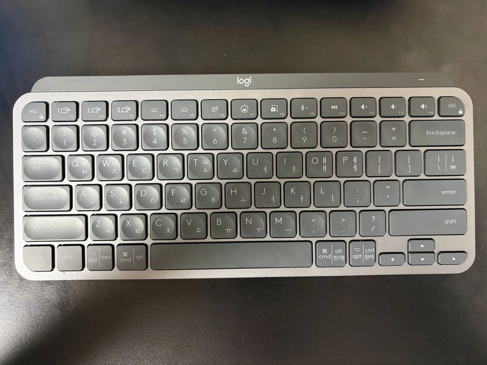 로지텍 MX KEYS mini 이미지