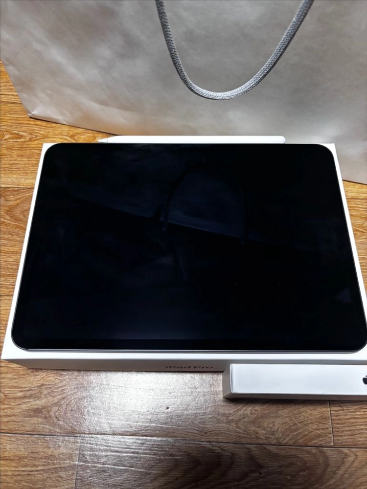 아이패드 Pro M4 11인치 256GB Wi-Fi + 애플 펜슬 프로 이미지