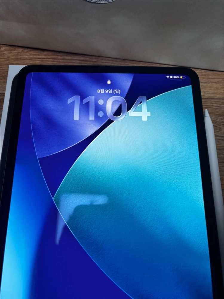 아이패드 Pro M4 11인치 256GB Wi-Fi + 애플 펜슬 프로 이미지