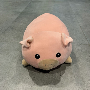 다이소 돼지 인형 쿠션 이미지
