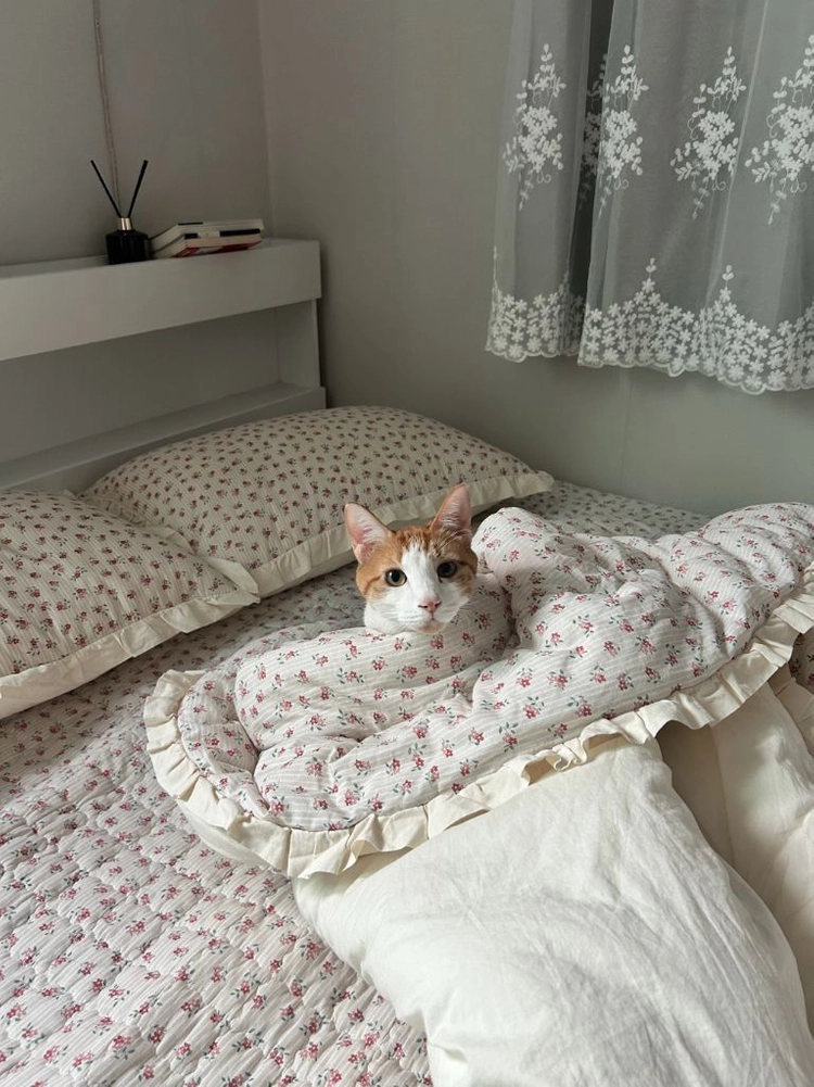 퀸 침대 이미지