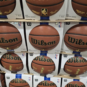 NBA 농구공 7호 이미지