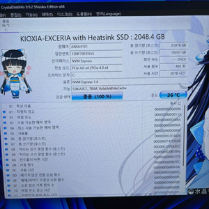 키오시아 히트싱크 M.2 NVMe SSD (2TB) 건강상태 100% 이미지
