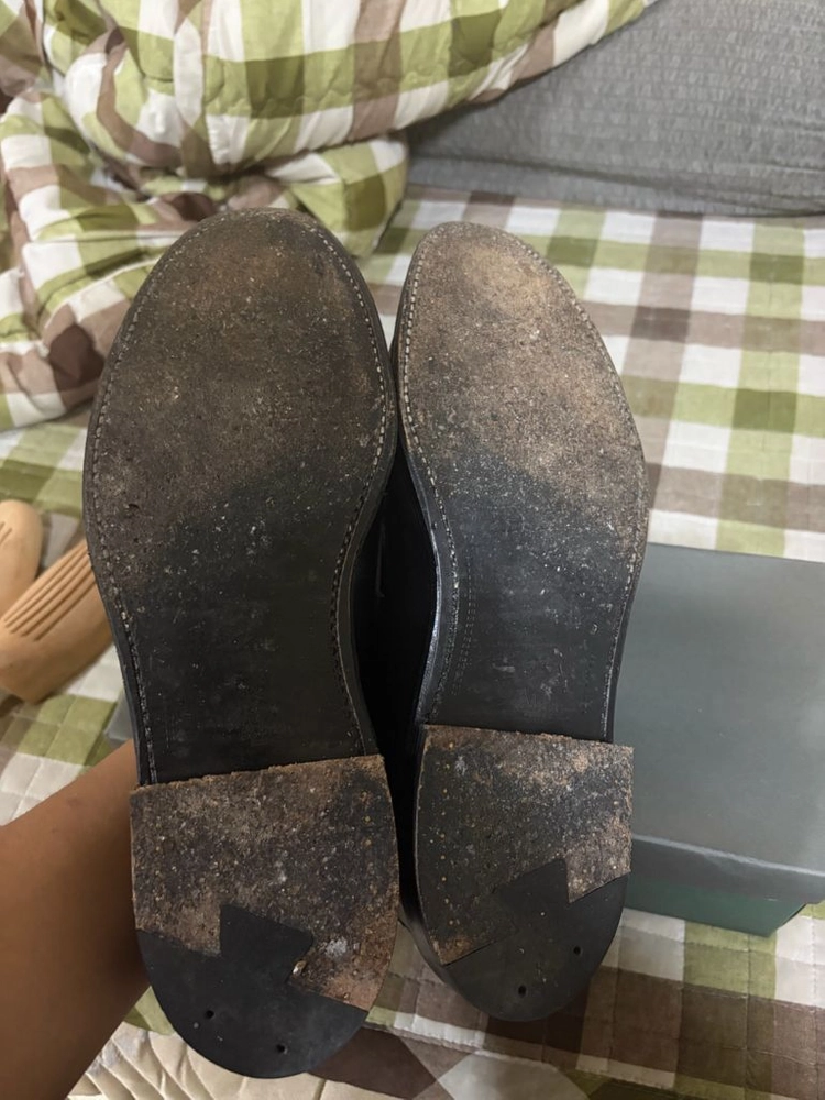 페니로퍼 알든987 팝니다 이미지