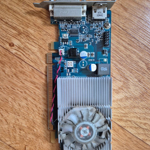 지포스 310 512MB 이미지