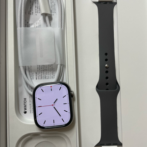 애플워치10티타늄 46mm 내추럴 SSS급 이미지