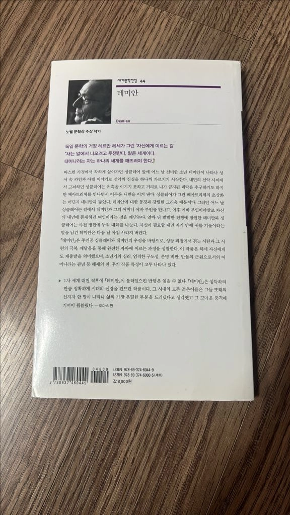 세계문학전집 44 - 데미안 - 헤르만 헤세 지음 이미지