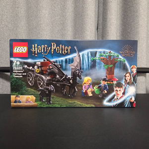 Lego 레고 해리포터 76400 이미지