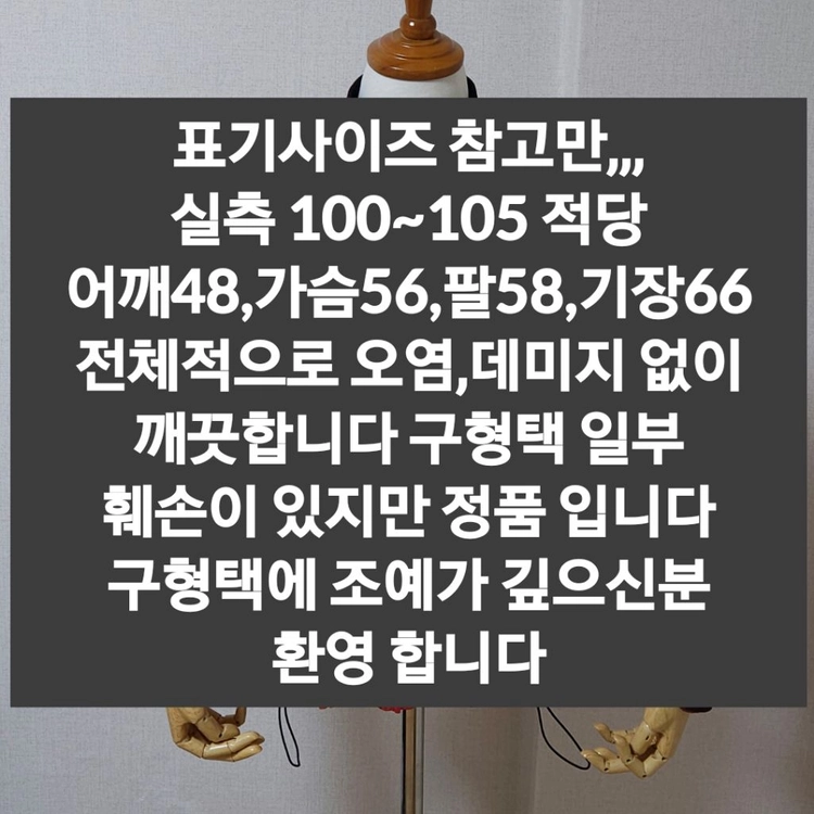 아크테릭스 바람막이 점퍼 100 이미지