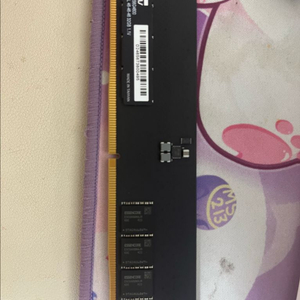 DDR5 32GB 데스크탑 램(클레브 하이닉스 마이크론) 이미지
