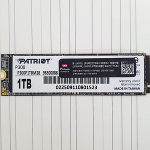 patriot p300 m.2 ssd 1tb + 방열판 이미지