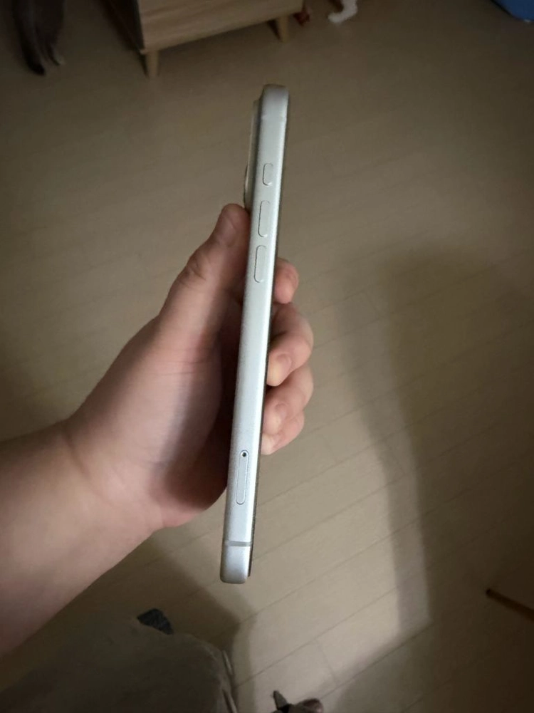 아이폰17프로 max 256gb 실버 이미지
