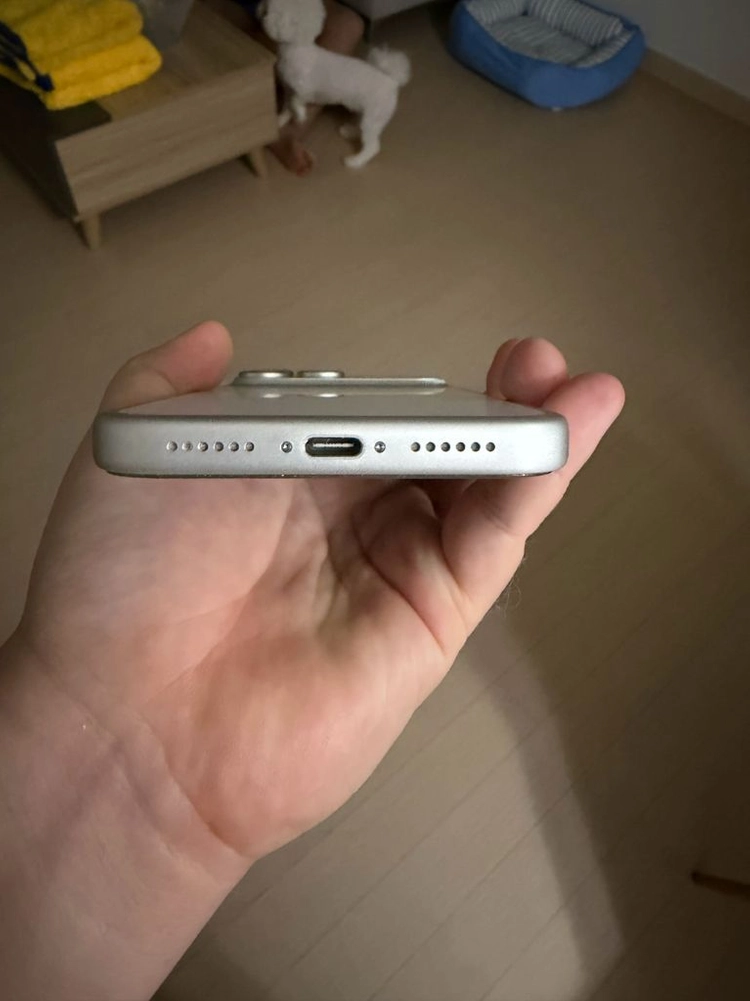 아이폰17프로 max 256gb 실버 이미지