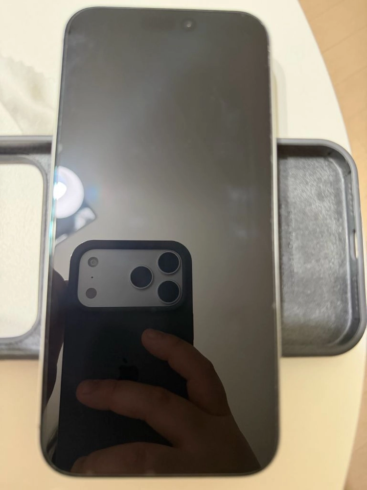 아이폰17프로 max 256gb 실버 이미지