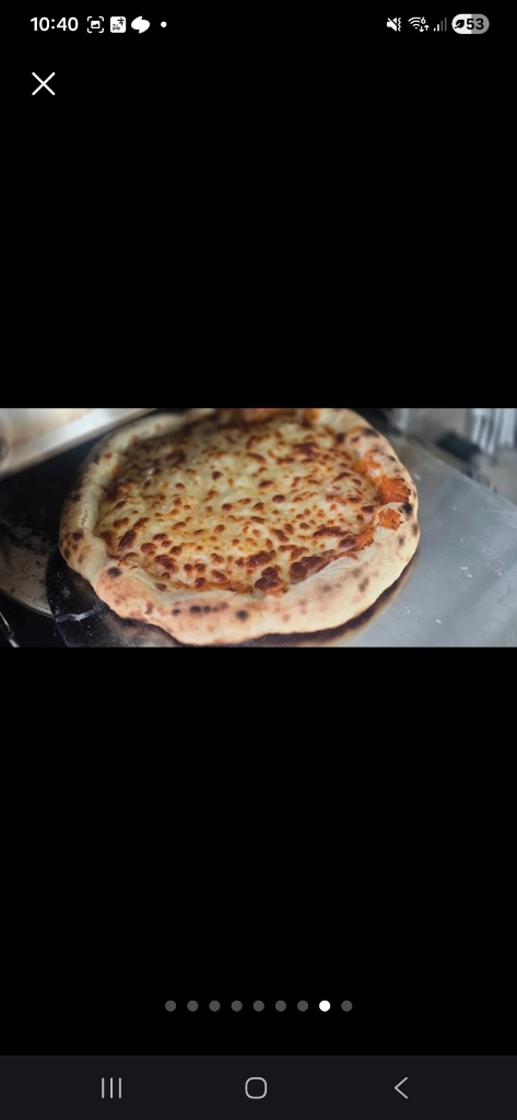 브레빌 피자 이올로 스마트오븐 BFZ820BSS 이미지