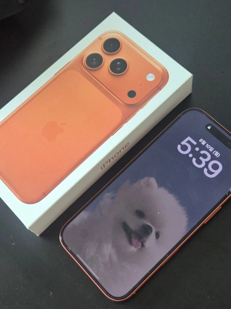 아이폰17프로 오렌지256gb 이미지