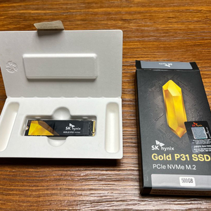Sk하이닉스 P31 Gold PCIe NVMe M.2 SSD 500GB 이미지