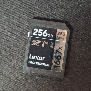 렉사 1667x 256gb 250mb/s uhs-ii 고속 sd 카드 이미지