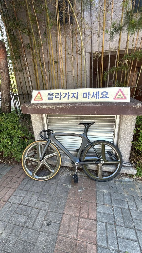 풀카본 트랙픽시 반차 - 안심되는 중고거래
