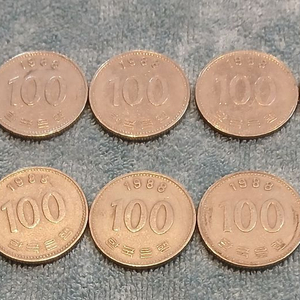 1988년 100원 동전 10개 일괄 이미지