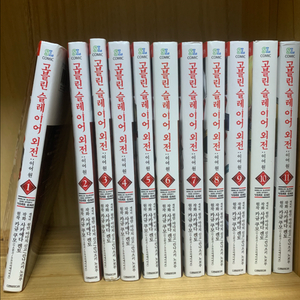 고블린 슬레이어 외전 1-11권 만화책 이미지