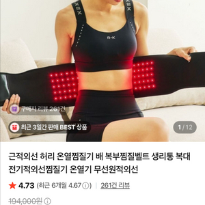 코어힐 디스크 찜질기 이미지