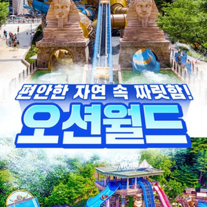 홍천 오션월드 골드 종일권 구명조끼 이미지