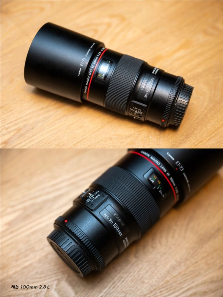 마크로 100mm f/2.8 L렌즈 이미지
