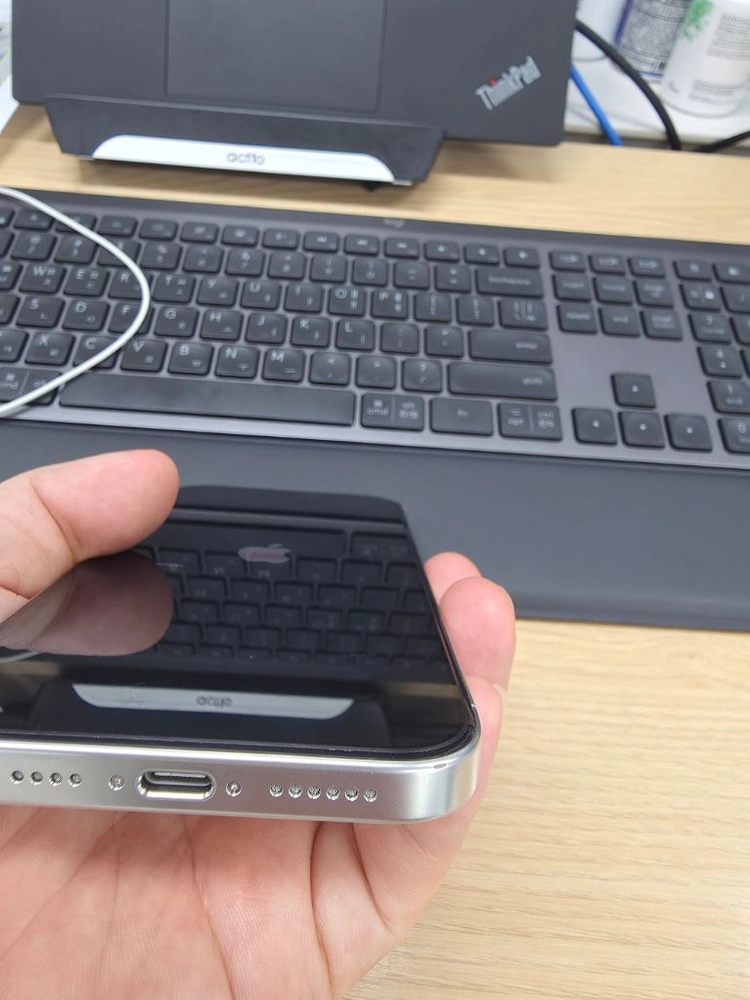 아이폰 16 프로 맥스 실버 256GB 애플케 이미지