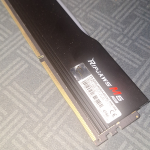 DDR5 48gb 1장 이미지