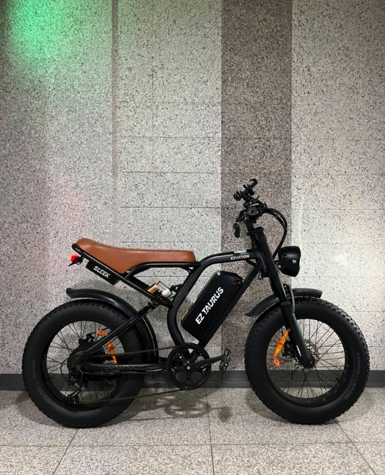 이지베이션 BS슬릭 전기자전거 이미지