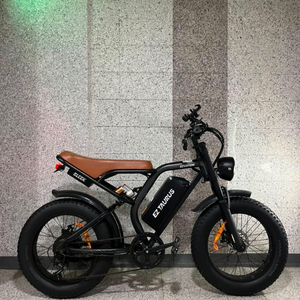 이지베이션 BS슬릭 전기자전거 이미지