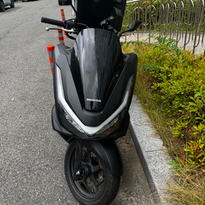 pcx125 25년식 천키로 이미지