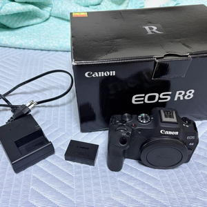 캐논 EOS R8 판매