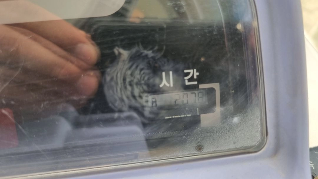 6조식 이양기 이미지