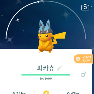 루카리오 코스튬 피카츄 이로치 이미지
