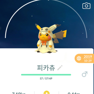 따라큐 코스튬 피카츄 이로치 이미지