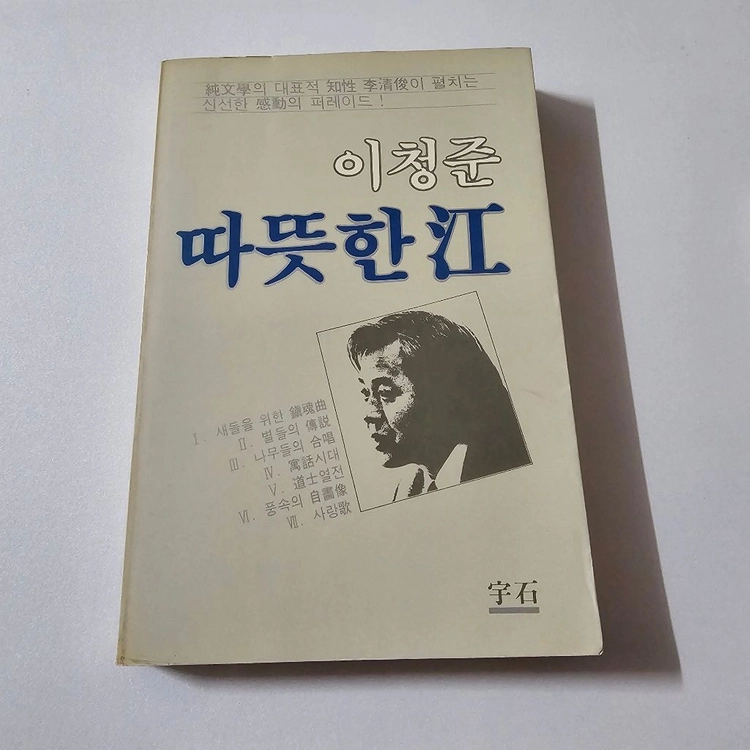 따뜻한 강 - 이청준 소설집 (1986년 판본 / 도서출판 우석 / 저자 인지 유 / 소장용) 이미지