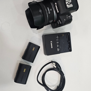 캐논 EOS R6 카메라 + 광각렌즈 세트