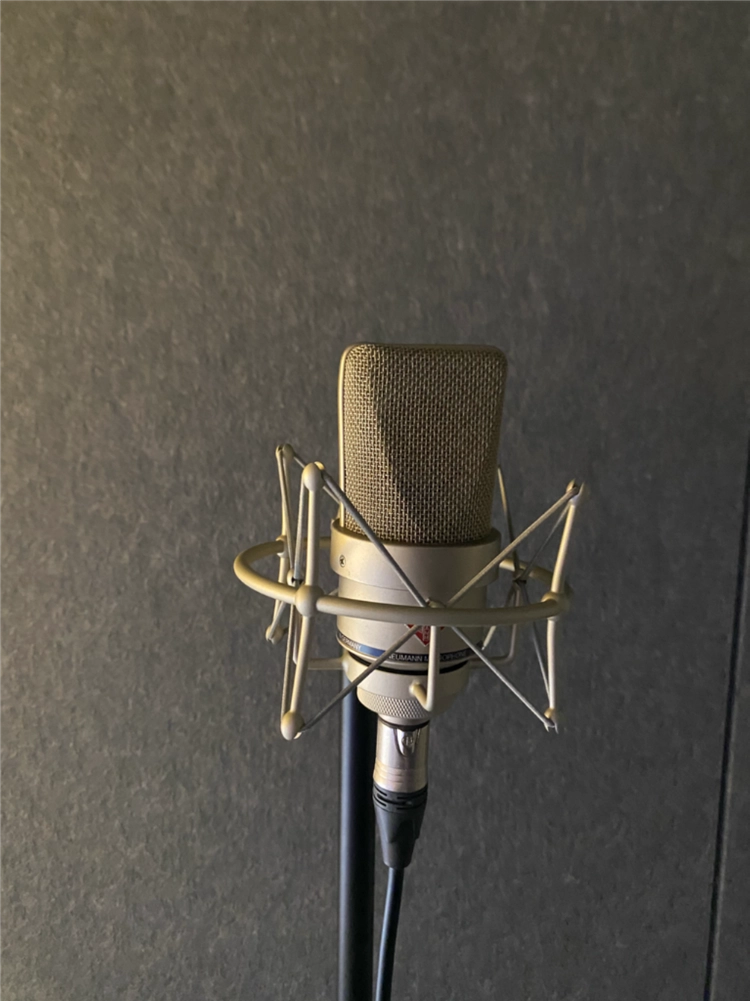 노이만 Neumann TLM103 + 쇼크마운트 - 안심되는 중고거래