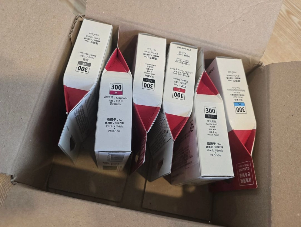 캐논Pro-300 포토프린터 A3 이미지