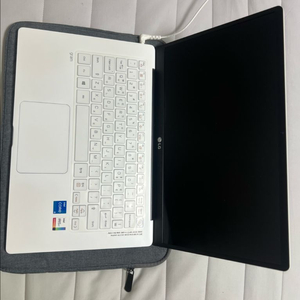 Lg 그램 14 노트북 팝니다 (i5 11세대/램8gb/256gb/배터리 87%) 이미지