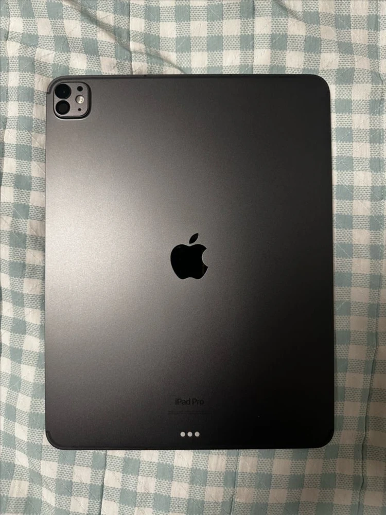 아이패드프로13 M4 셀룰러 256GB (신품동일급) 이미지